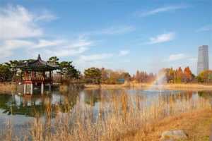 大田树木园