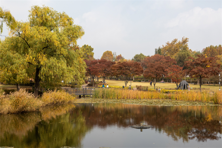 龙山公园1 龙山公园1