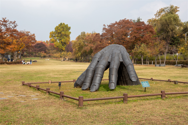 龙山公园2 龙山公园2
