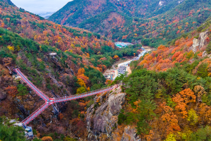 居昌抗老化治愈乐园