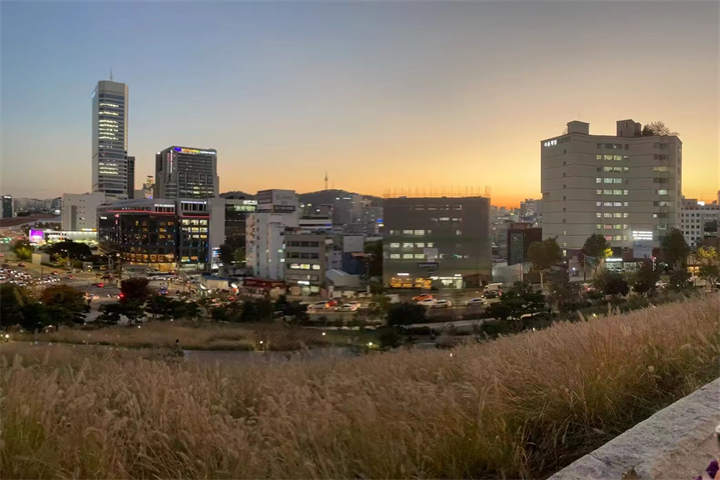 dongdam