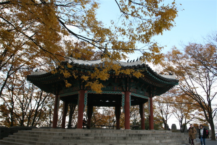 南山公园2 南山公园2