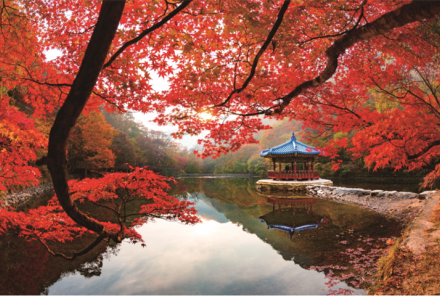 韩国全罗道圈值得旅游的景点合集（一）！