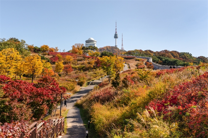 南山1 南山1