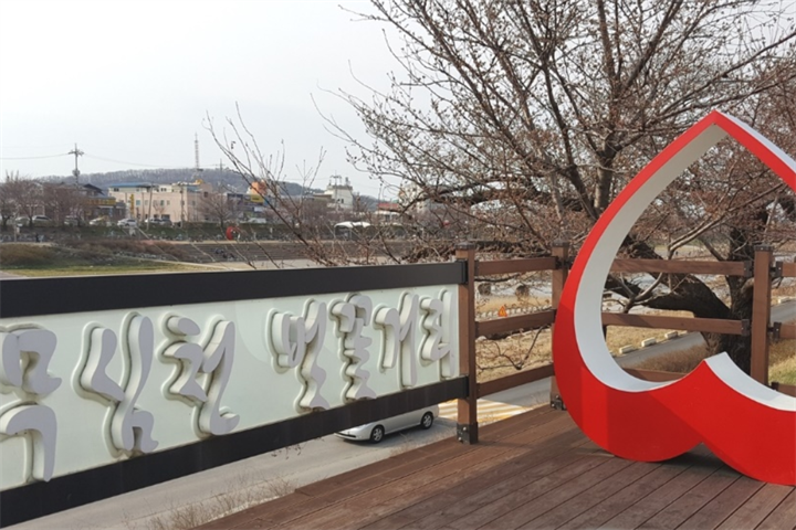 无心川樱花路1 无心川樱花路1