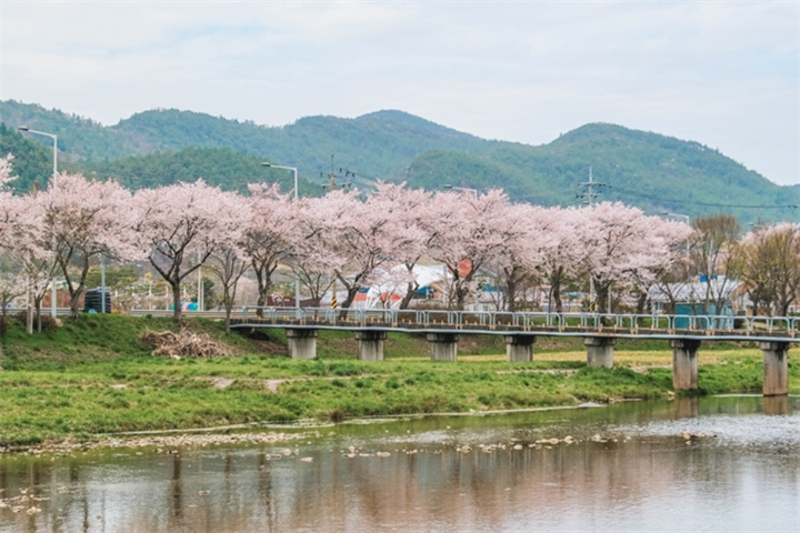 沙坪桥2