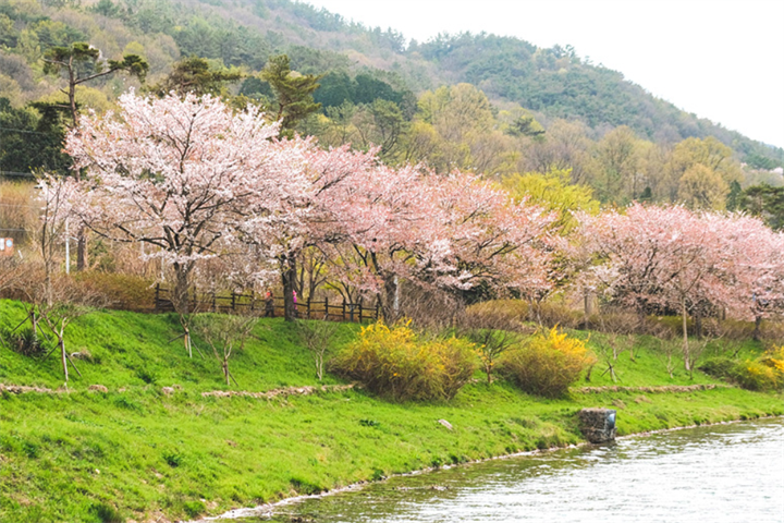 东九里湖水公园2