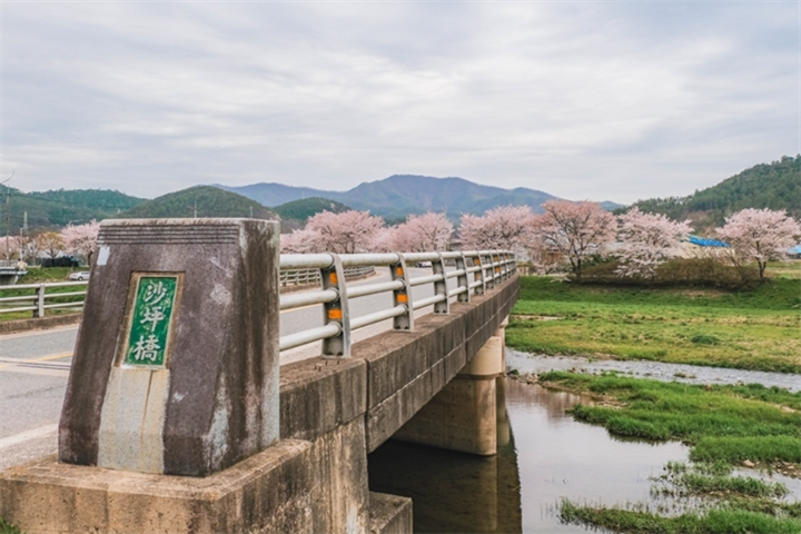 沙坪桥1