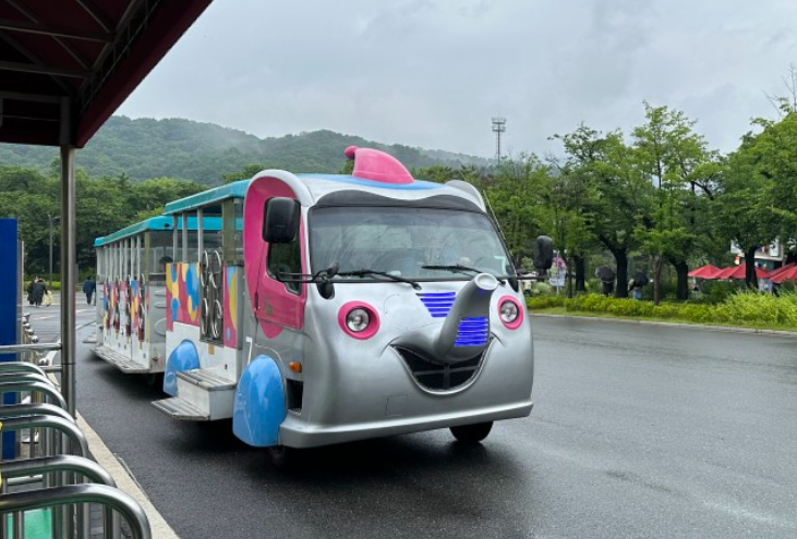 大象火车 大象火车