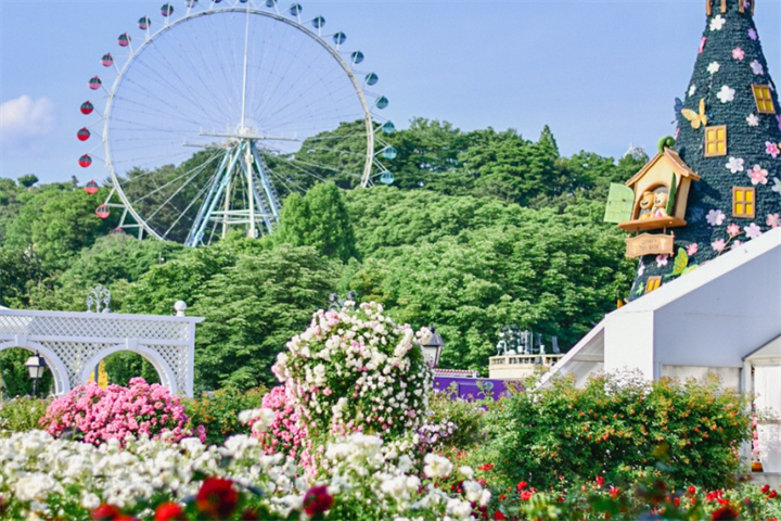 爱宝乐园一日游赏樱花攻略