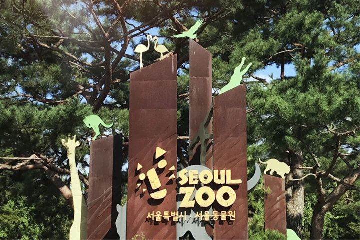 动物园1 动物园1