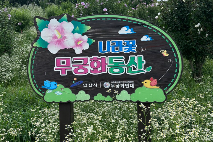 木槿花乐园 木槿花乐园