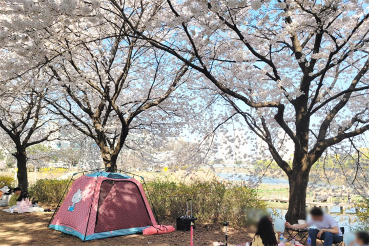 野营1 野营1