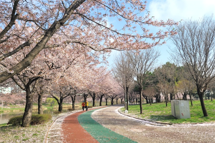 安山湖水公园一日游赏花攻略
