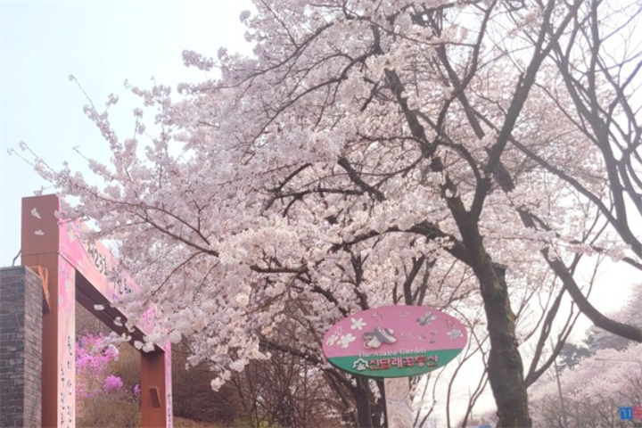 庆典2 庆典2