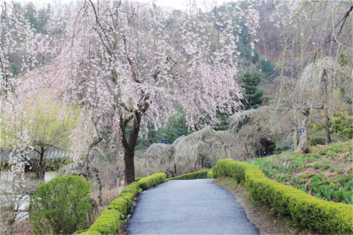 能手庭院 能手庭院