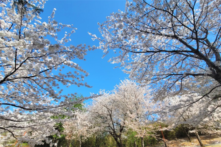 南山公园3 南山公园3