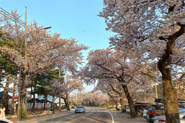 咖啡店2 咖啡店2