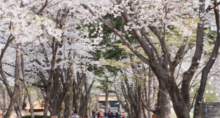 缩略图3