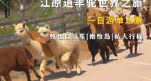 缩略图1