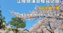 缩略图1