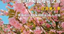 缩略图1