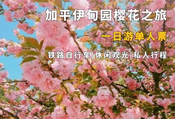 京畿道加平伊甸园樱花路南怡岛铁路自行车一天团