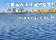 汝矣岛汉江公园赏樱一日游