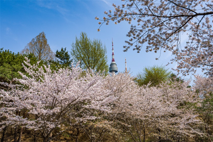 南山公园1