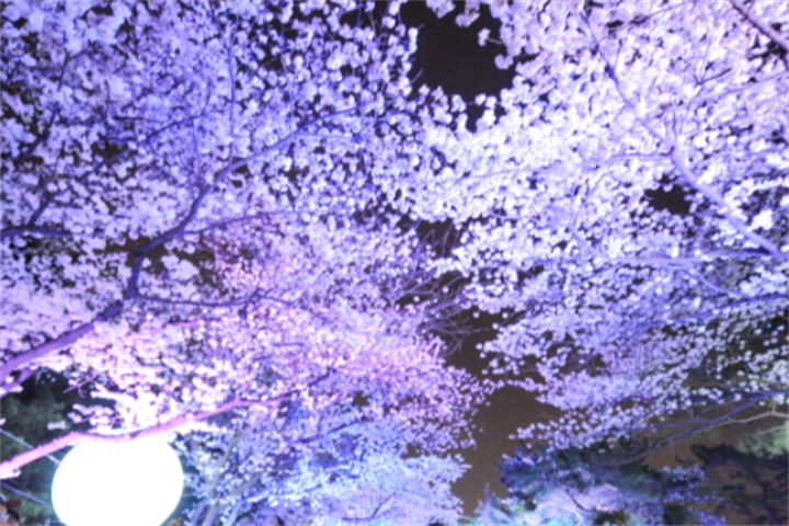 庆典1
