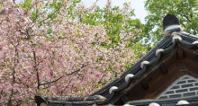 缩略图5