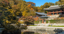 缩略图8