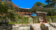 缩略图9