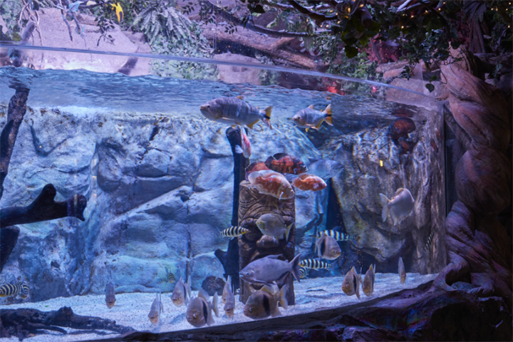 水族馆3