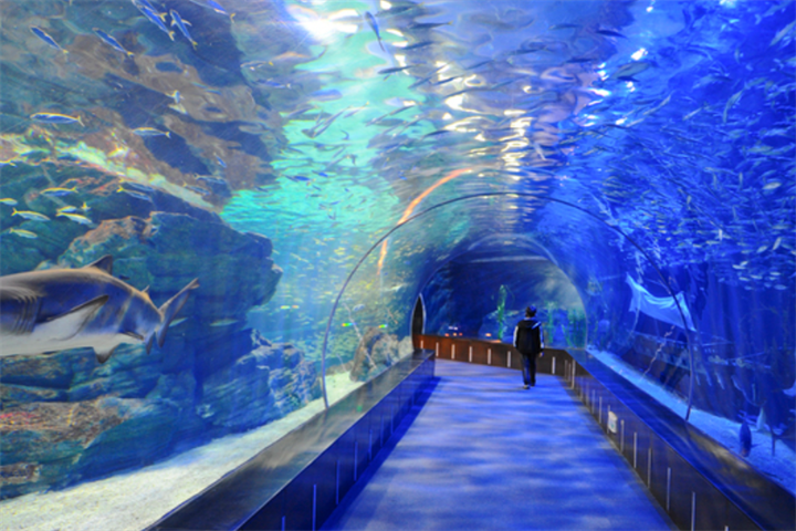 水族馆海底隧道2