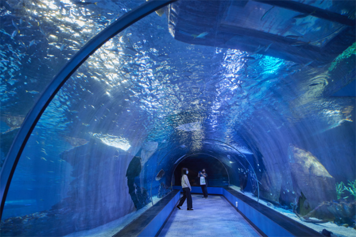 水族馆海底隧道1