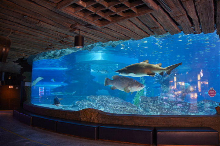 水族馆2