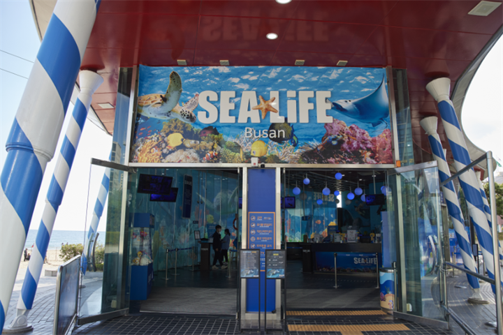 水族馆1