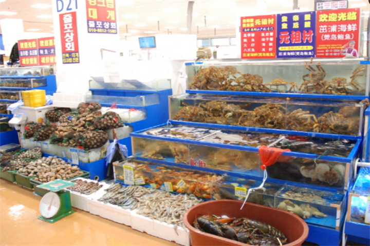 鹭梁津水产市场2 鹭梁津水产市场2
