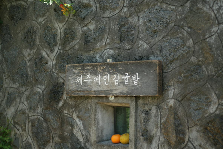 橘园1