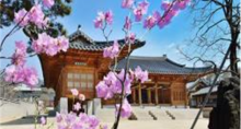 缩略图4