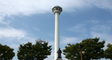缩略图11