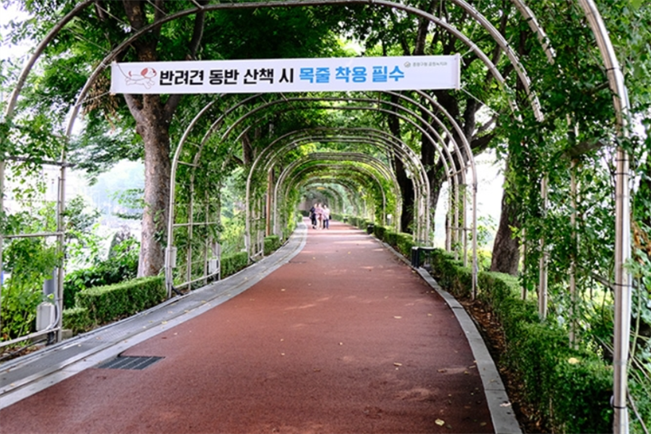 中浪玫瑰公园3