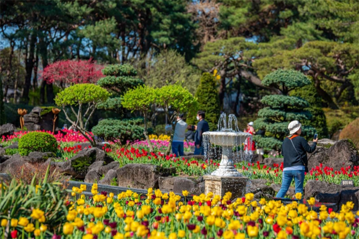 碧草池水木园1