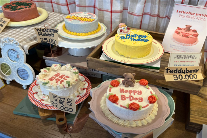터틀힙7 터틀힙7