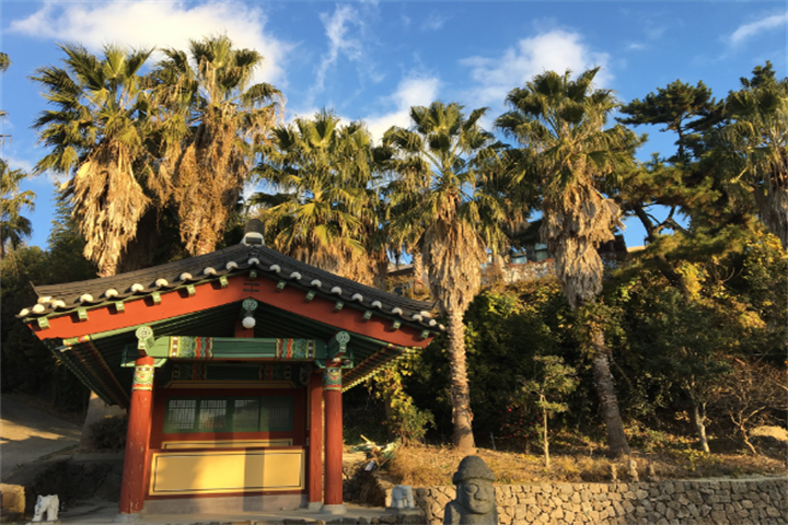 药泉寺3 药泉寺3