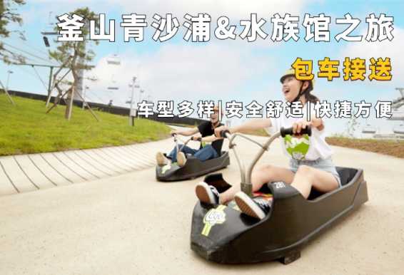 釜山天际线斜坡滑车&青沙浦&SEA LIFE水族馆包车一日游