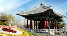 缩略图3