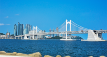 缩略图10