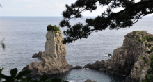 缩略图10